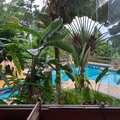 Casa em Ilhabela, bairro Feiticeira
