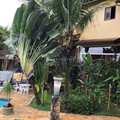 Casa em Ilhabela, bairro Feiticeira