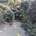 Casa em Ilhabela, bairro Praia da Feiticeira
