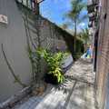 Casa em Ilhabela, bairro Perequê