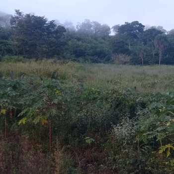 Chácara em Jaciara, bairro Rural