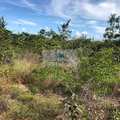 Fazenda em Lizarda, bairro Setor Central