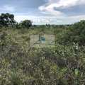 Fazenda em Lizarda, bairro Setor Central