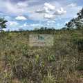 Fazenda em Lizarda, bairro Setor Central