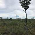 Fazenda em Lizarda, bairro Setor Central