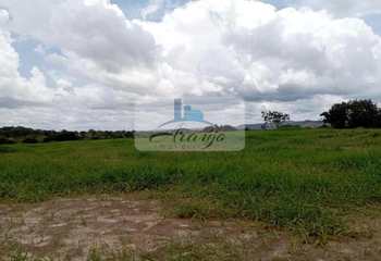 Fazenda, código 1822 em Formoso do Araguaia, bairro Setor Central