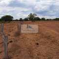 Fazenda em Palmas, bairro Área Rural de Palmas