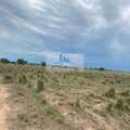 Fazenda em Palmas, bairro Área Rural de Palmas