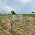 Fazenda em Palmas, bairro Área Rural de Palmas
