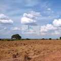 Fazenda em Palmas, bairro Área Rural de Palmas
