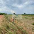 Fazenda em Palmas, bairro Área Rural de Palmas