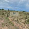 Fazenda em Palmas, bairro Área Rural de Palmas