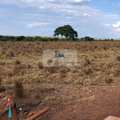 Fazenda em Palmas, bairro Área Rural de Palmas