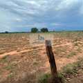 Fazenda em Palmas, bairro Área Rural de Palmas