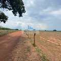 Fazenda em Palmas, bairro Área Rural de Palmas