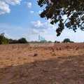 Fazenda em Palmas, bairro Área Rural de Palmas