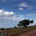 Fazenda em Palmas, bairro Área Rural de Palmas