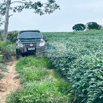Fazenda em Palmeirante, bairro Setor Central