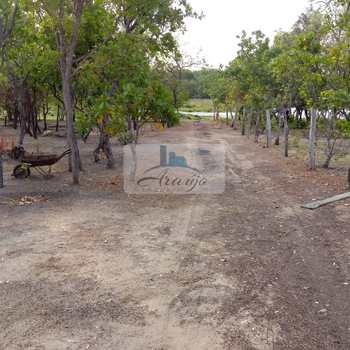 Chácara em Palmas, bairro Área Rural de Palmas