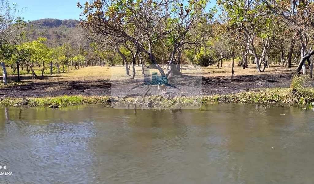 Chácara em Palmas, bairro Área Rural de Palmas
