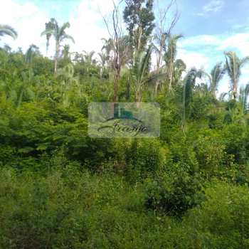 Fazenda em Lajeado, bairro Setor Central