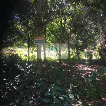 Fazenda em Lajeado, bairro Setor Central