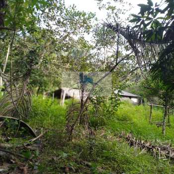 Fazenda em Lajeado, bairro Setor Central