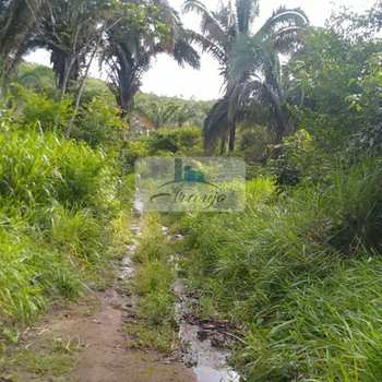 Fazenda em Lajeado, bairro Setor Central