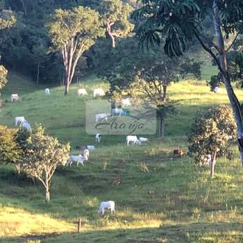 Fazenda em Bela Vista de Goiás, bairro Setor Central