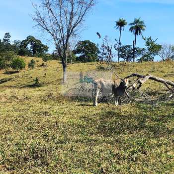 Fazenda em Bela Vista de Goiás, bairro Setor Central