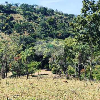 Fazenda em Bela Vista de Goiás, bairro Setor Central