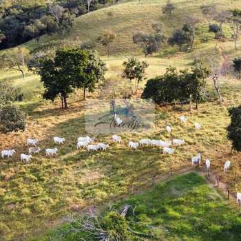 Fazenda em Bela Vista de Goiás, bairro Setor Central