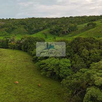 Fazenda em Dois Irmãos do Tocantins, bairro Setor Central