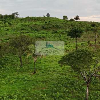 Fazenda em Dois Irmãos do Tocantins, bairro Setor Central