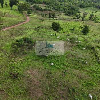 Fazenda em Dois Irmãos do Tocantins, bairro Setor Central