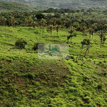Fazenda em Dois Irmãos do Tocantins, bairro Setor Central