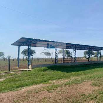 Fazenda em Dois Irmãos do Tocantins, bairro Setor Central