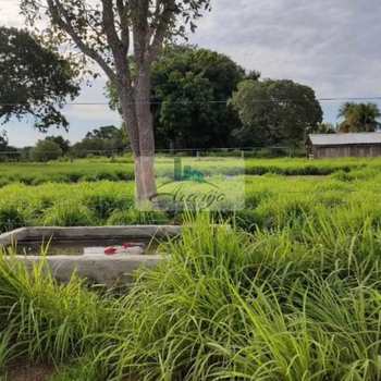 Fazenda em Dois Irmãos do Tocantins, bairro Setor Central