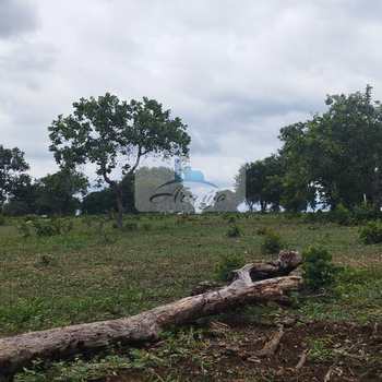 Fazenda em Dois Irmãos do Tocantins, bairro Setor Central
