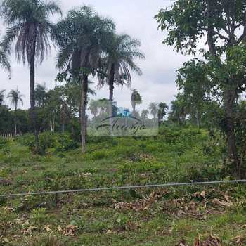 Fazenda em Dois Irmãos do Tocantins, bairro Setor Central