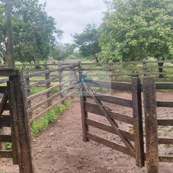 Fazenda em Dois Irmãos do Tocantins, bairro Setor Central