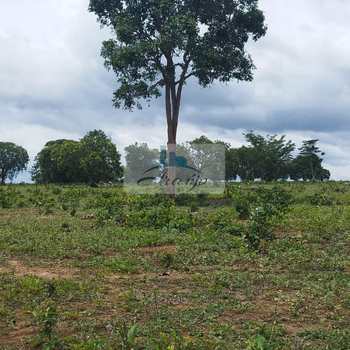 Fazenda em Dois Irmãos do Tocantins, bairro Setor Central