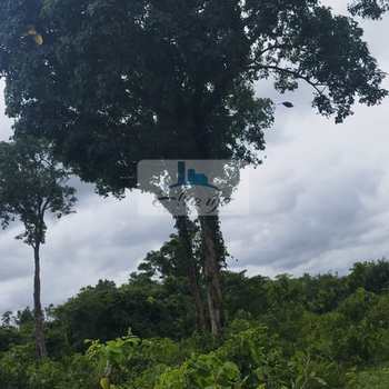 Fazenda em Dois Irmãos do Tocantins, bairro Setor Central