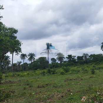 Fazenda em Dois Irmãos do Tocantins, bairro Setor Central