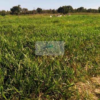 Fazenda em Rio Sono, bairro Setor Pioneiro