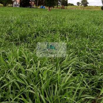 Fazenda em Rio Sono, bairro Setor Pioneiro