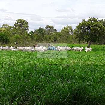 Fazenda em Rio Sono, bairro Setor Pioneiro