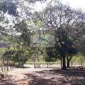 Chácara em Lajeado, bairro Setor Central