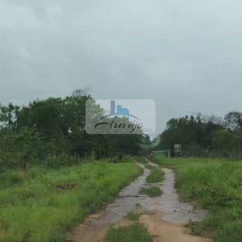 Fazenda em Paranã, bairro Setor Central