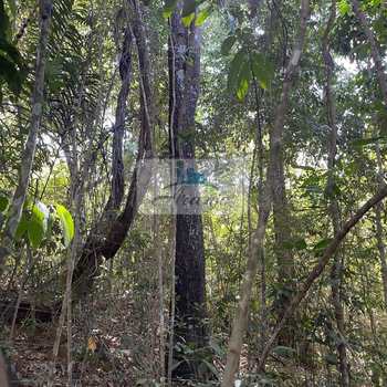 Fazenda em Porto Nacional, bairro Setor Central